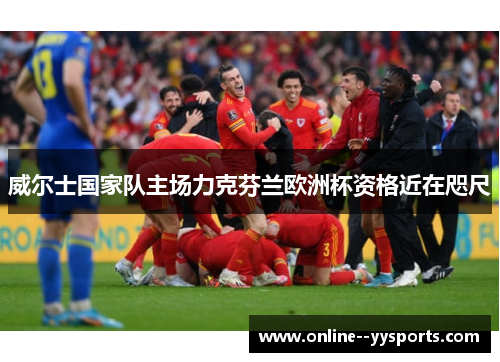 威尔士国家队主场力克芬兰欧洲杯资格近在咫尺